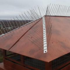 The five best ways to scare birds away