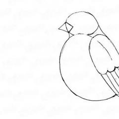 Summary of OD on drawing “Bullfinch on a branch Drawing on the theme of bullfinches in the middle group